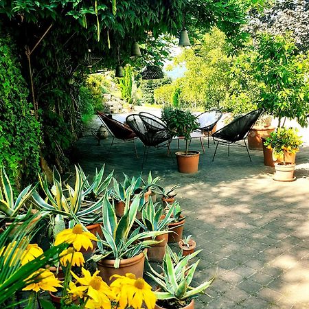 La Vinea Apartment Caldaro Bagian luar foto